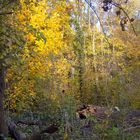 Herbst im Lebuser Land