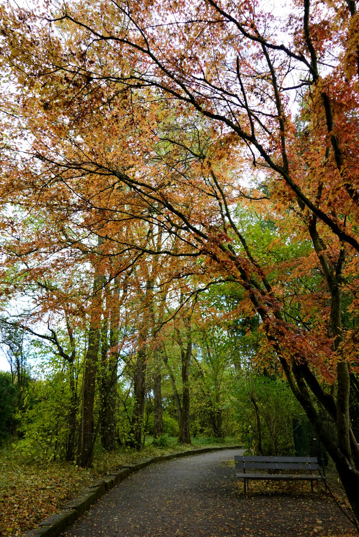 Herbst im Leintal Zoo HN