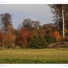 Herbst im Lemgoer Stadtwald