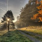 Herbst im Lengenbachtal