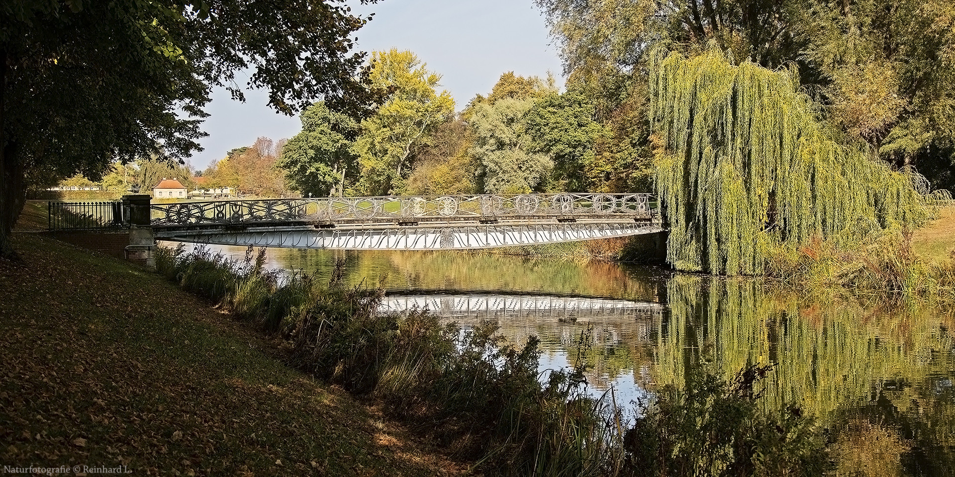 Herbst im Libellenrevier