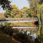 Herbst im Libellenrevier