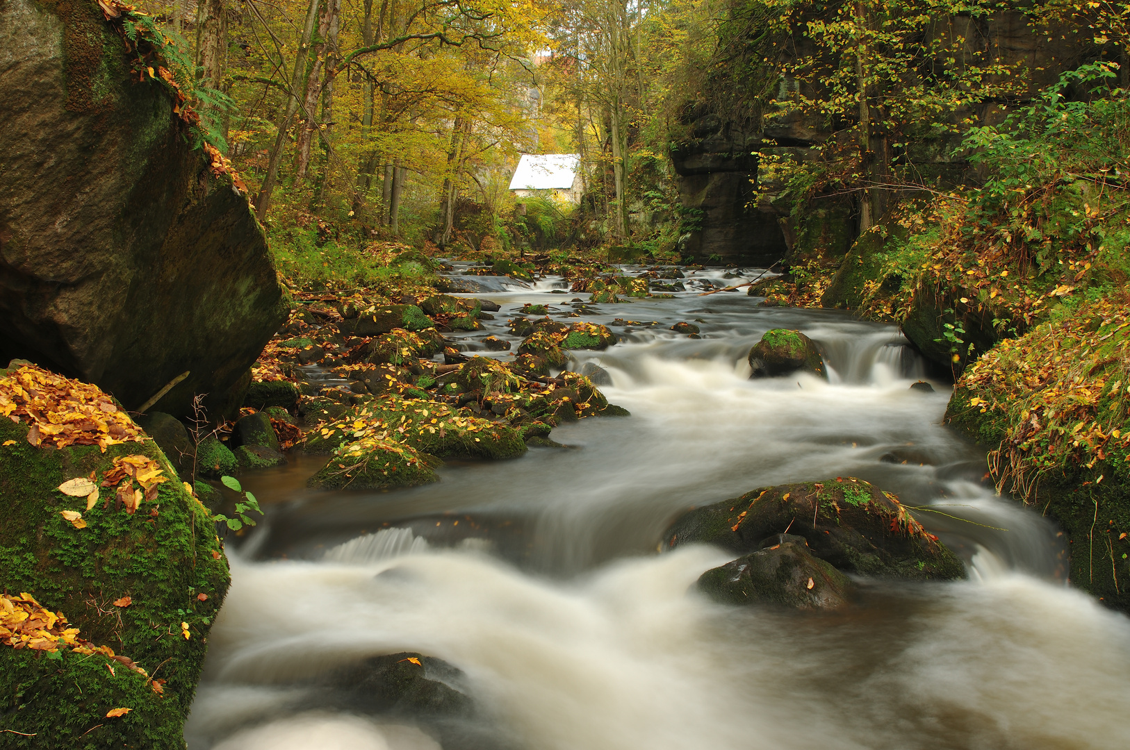 Herbst im Liebethaler Grund