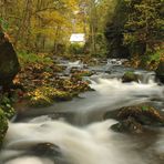 Herbst im Liebethaler Grund