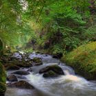 Herbst im Liebethaler Grund