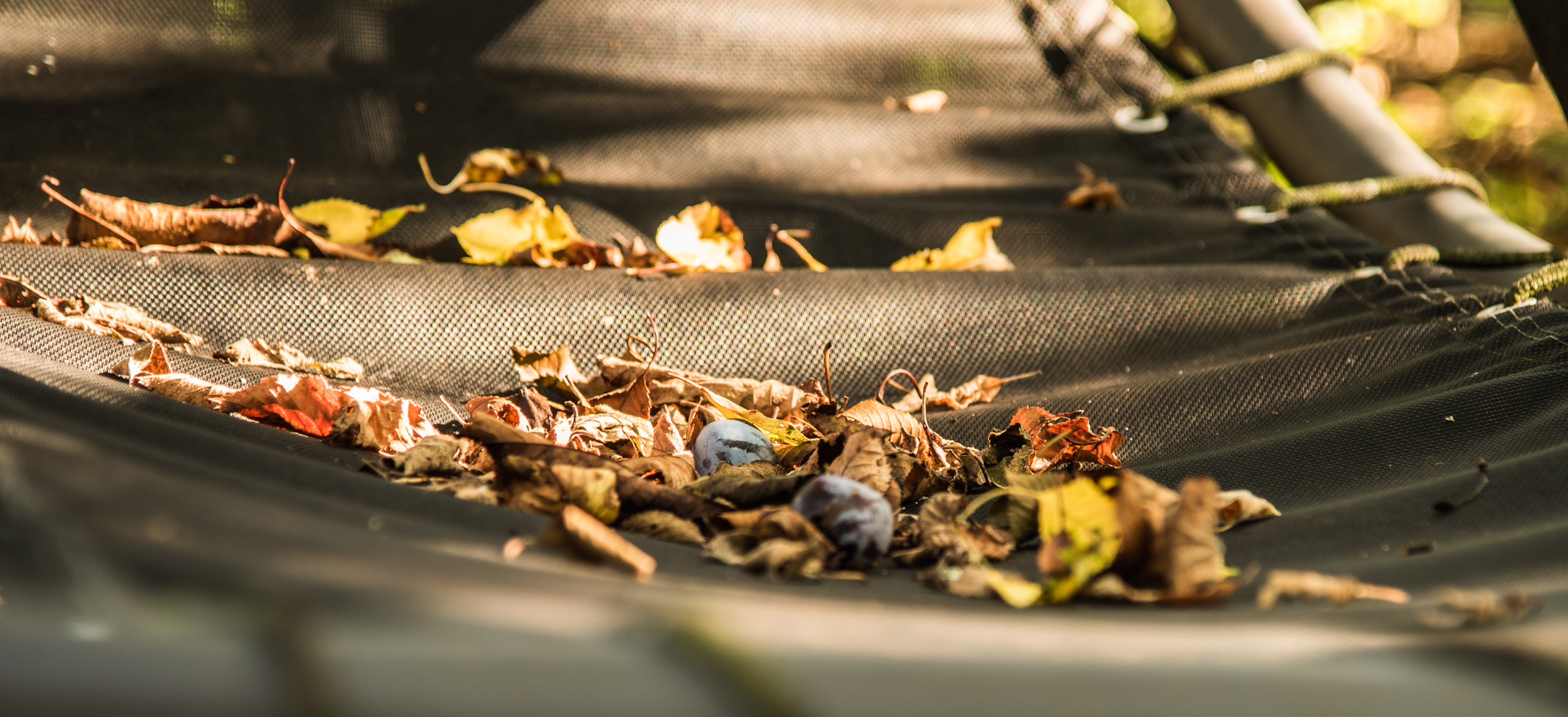 Herbst im Liegestuhl