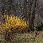 Herbst im Löcknitztal