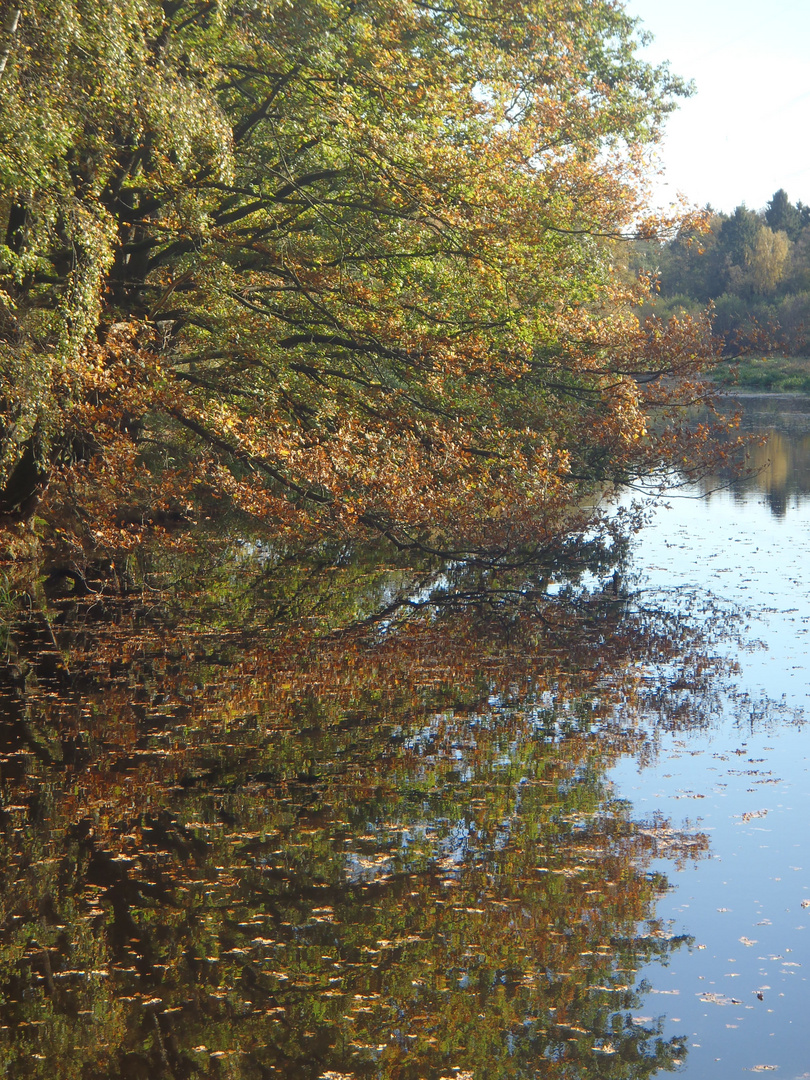 Herbst im Lottbektal / Hamburg - - -