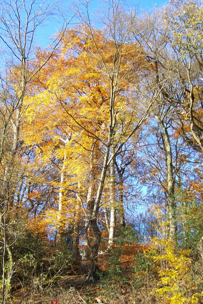 Herbst im Lottental!