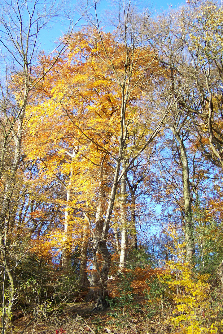 Herbst im Lottental!