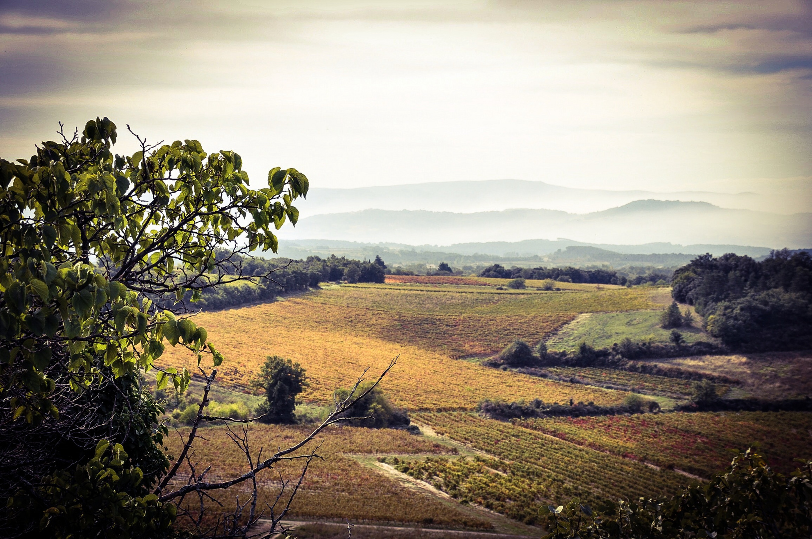 Herbst im Luberon