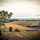 Herbst im Luberon