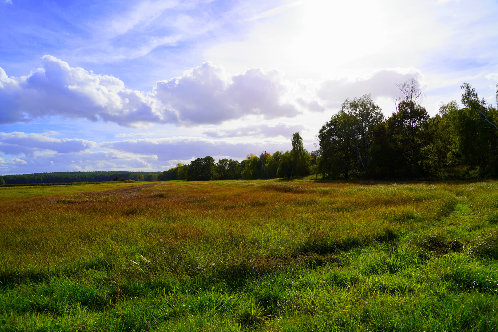 Herbst im Luch