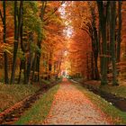 Herbst im Ludwigsluster Park