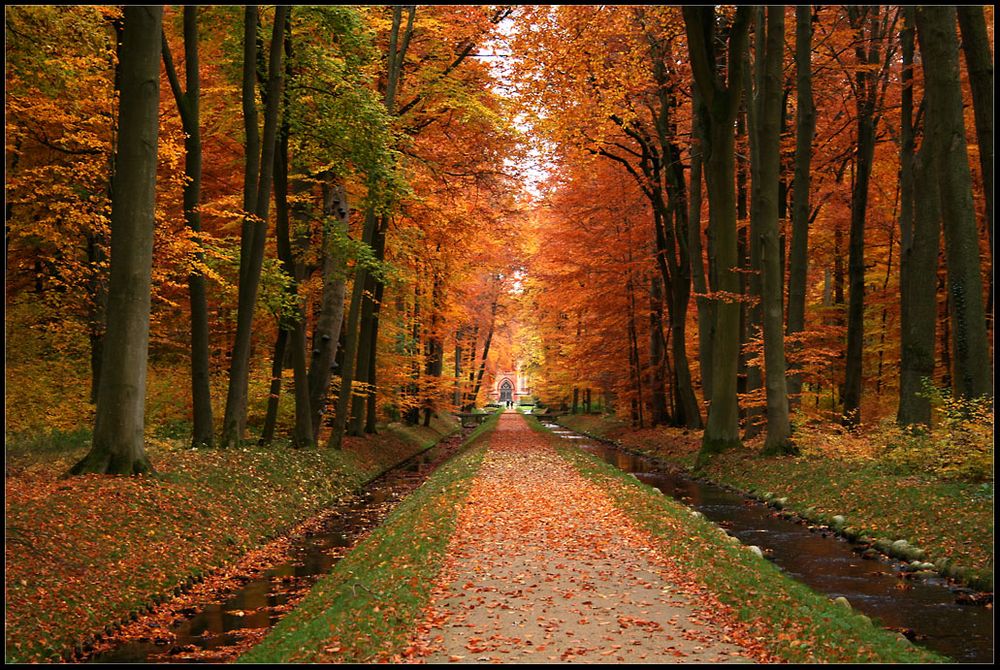 Herbst im Ludwigsluster Park