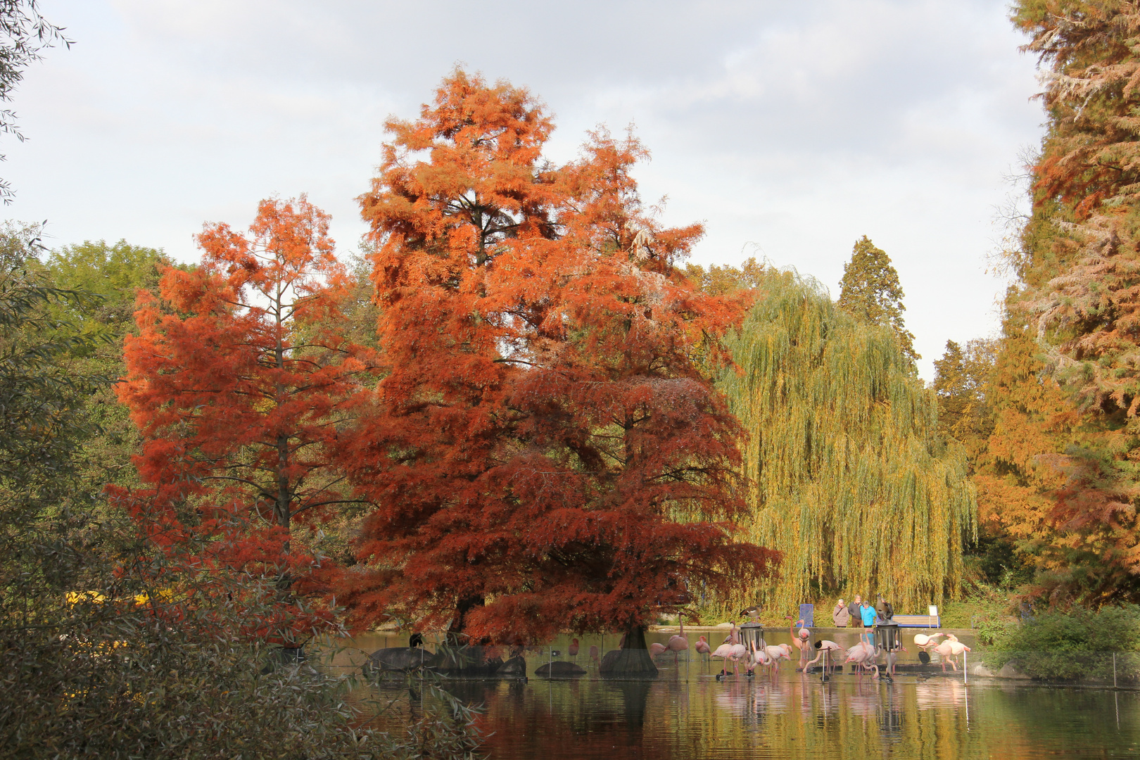 Herbst im Luisenpark