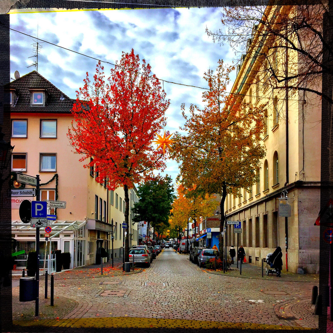 Herbst im Luisenviertel