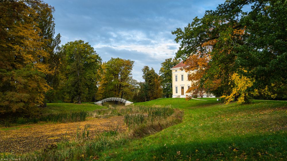 Herbst im Luisium