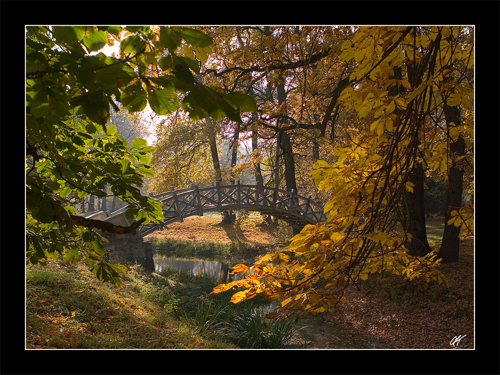 Herbst im Luisium