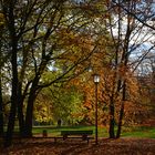 Herbst im Luitpoldpark