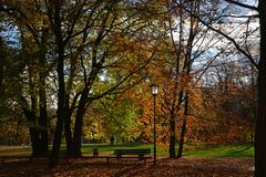 Herbst im Luitpoldpark