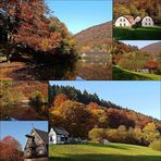 Herbst im Mäckingerbach Tal