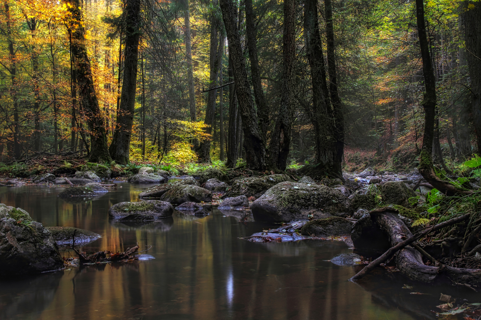 Herbst im Märchenwald - Autumn in fairy forest