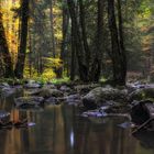 Herbst im Märchenwald - Autumn in fairy forest