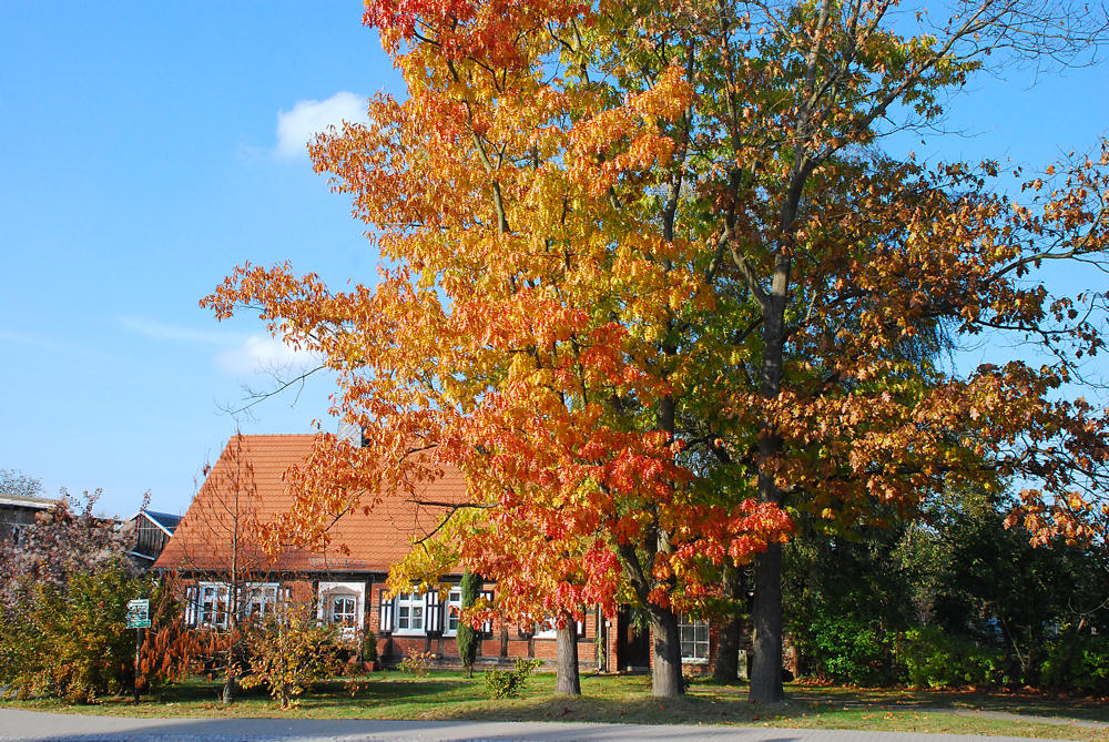 Herbst im Märkisch-Oder-Land