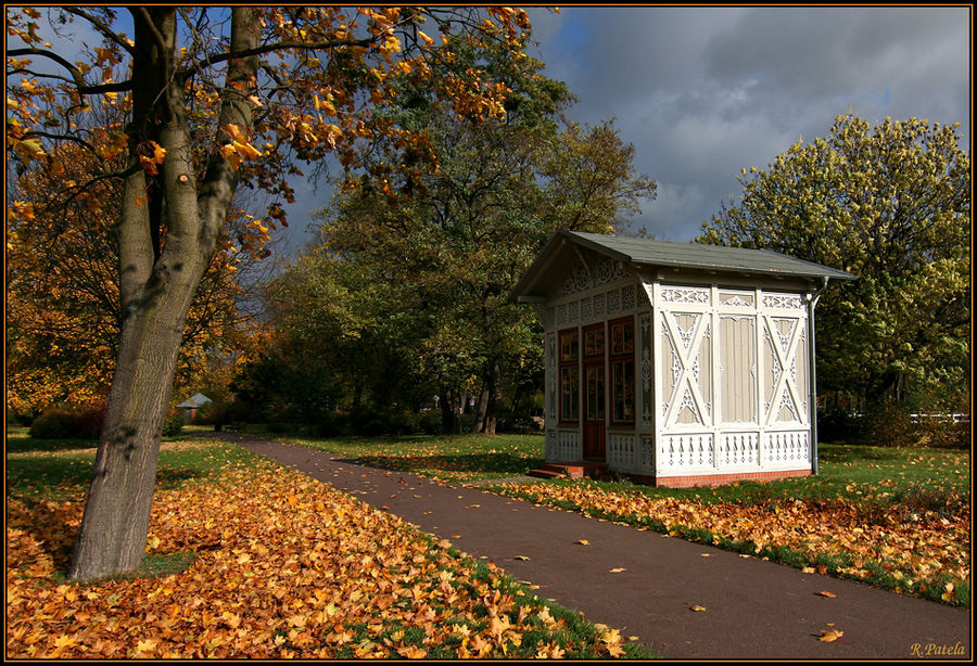 Herbst im Magdeburger Herrenkrug