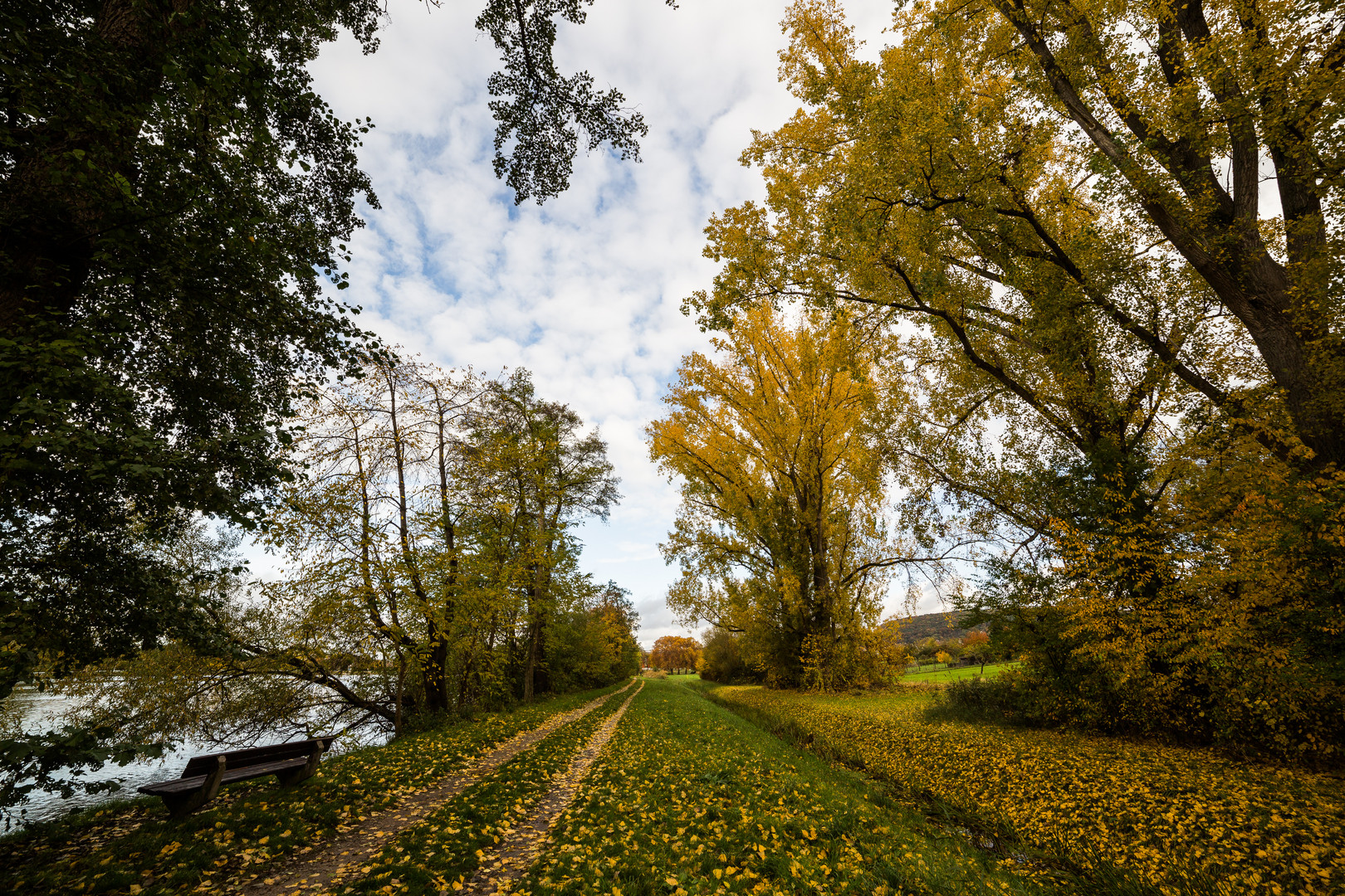 Herbst im Maintal 2058