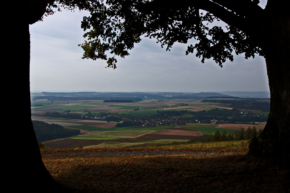 Herbst im Maintal