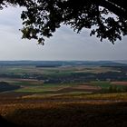 Herbst im Maintal