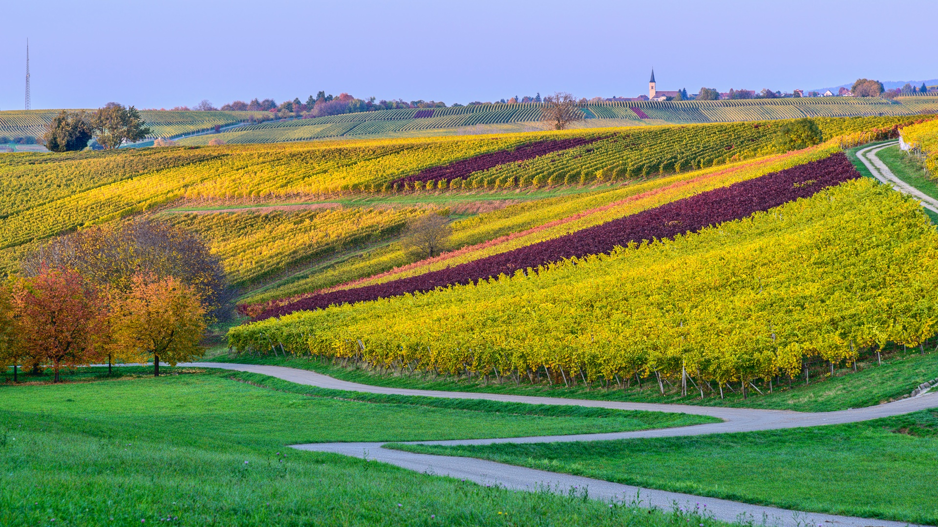 Herbst im Markgräfler Land 