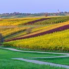 Herbst im Markgräfler Land 