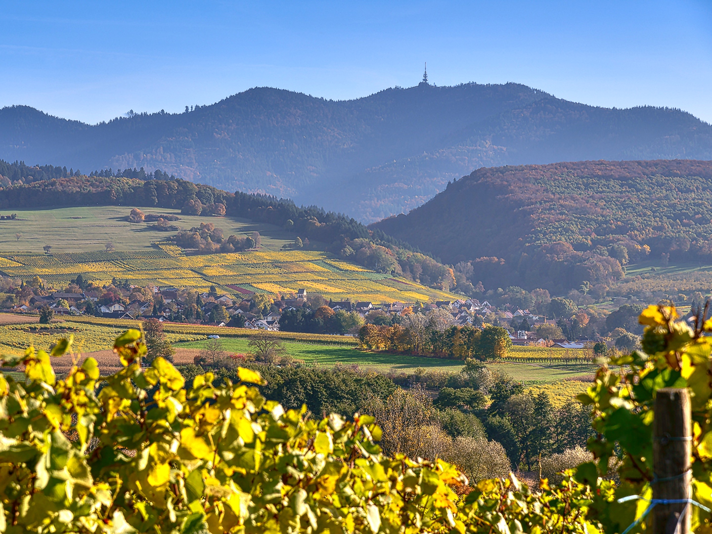 Herbst im Markgräflerland Foto & Bild herbstbilder, bw, world Bilder