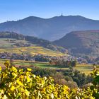 Herbst im Markgräflerland