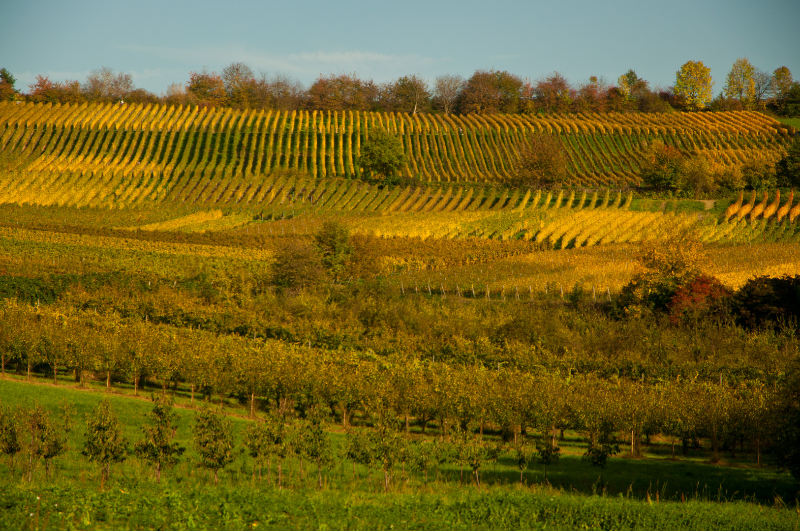 Herbst im Markgräflerland