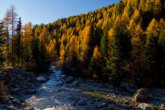 Herbst im Martelltal...