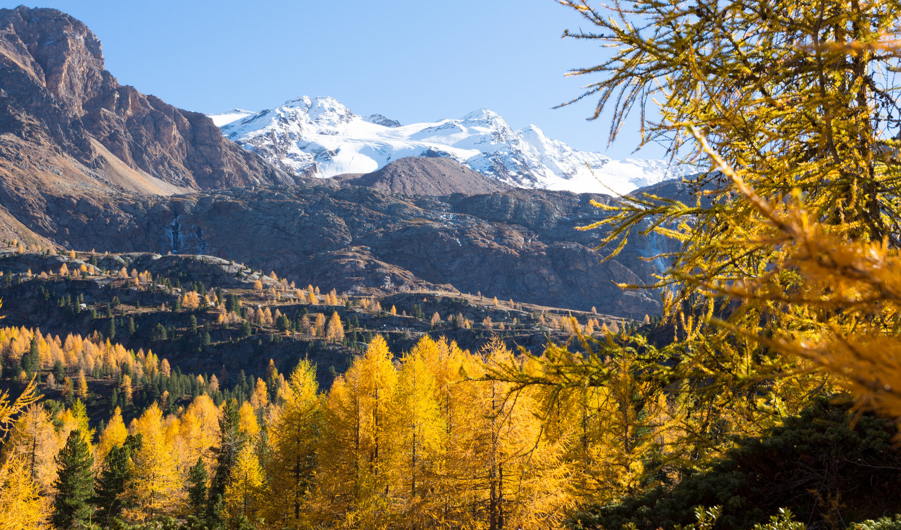 Herbst im Martelltal