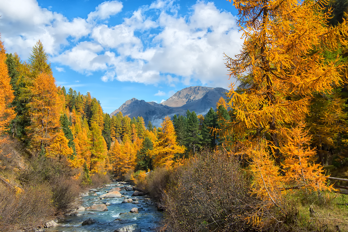 Herbst im Martelltal