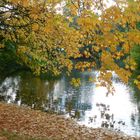 Herbst im Maschpark 1