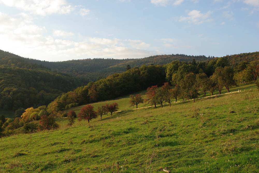 Herbst im Mausbachtal