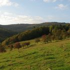 Herbst im Mausbachtal