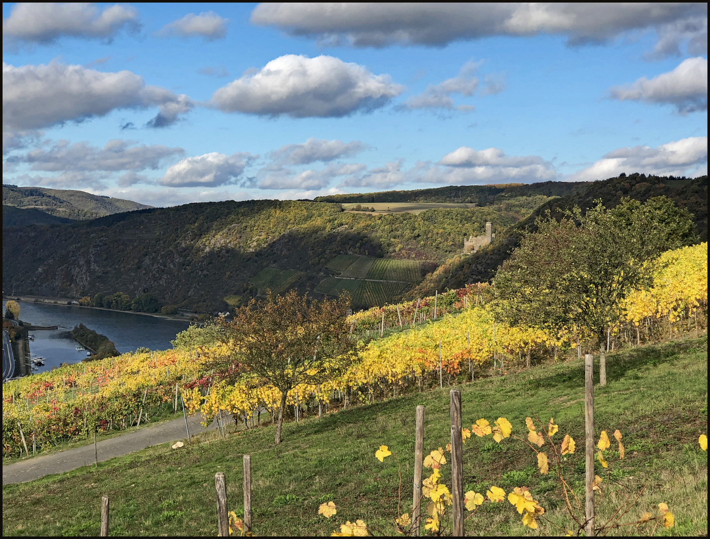 Herbst im Mittelrheintal