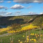 Herbst im Mittelrheintal