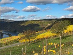 Herbst im Mittelrheintal