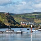 Herbst im Mittelrheintal - Blick von Kaub Richtung Oberwesel