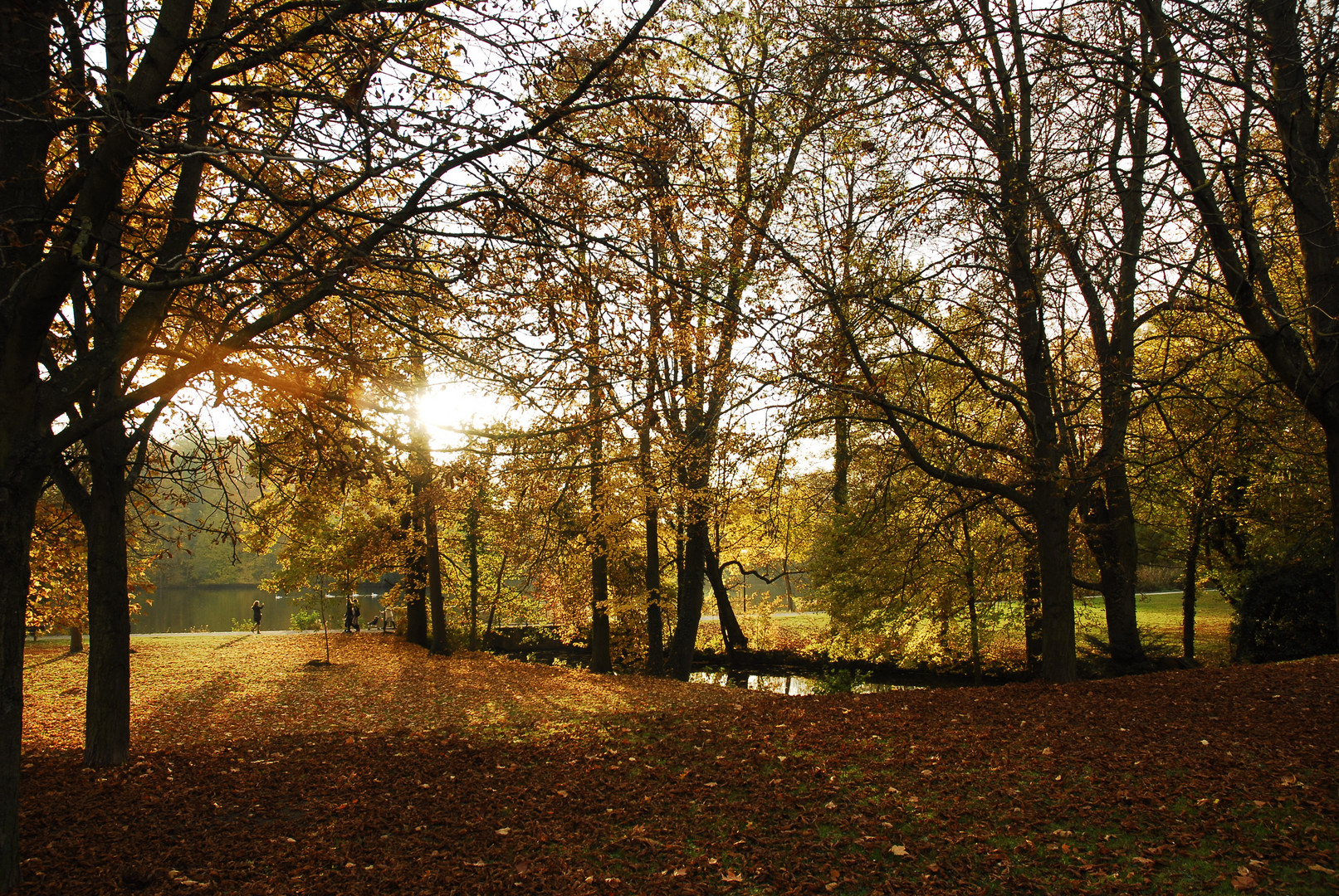 Herbst im Monrepos 3