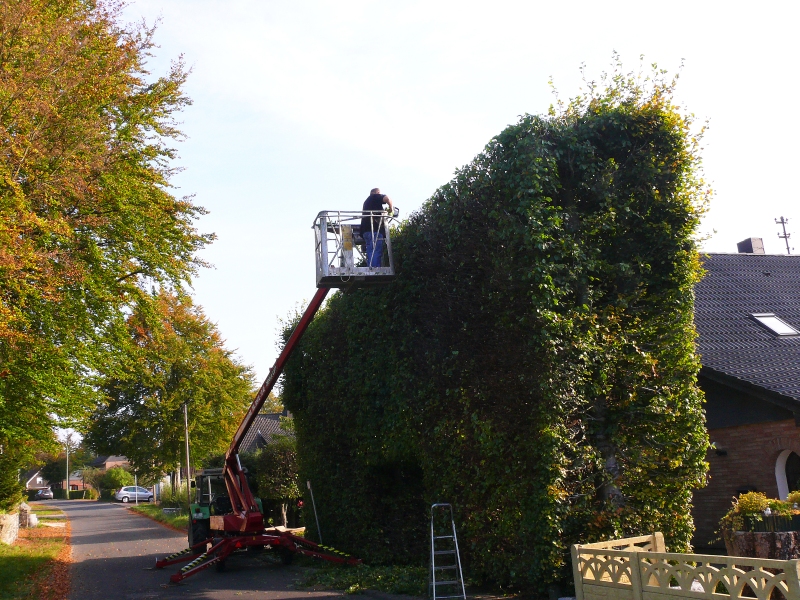 Herbst im Monschauer Heckenland